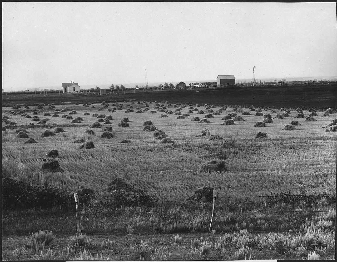 10 Albums Made in Under 48 Hours Ranked