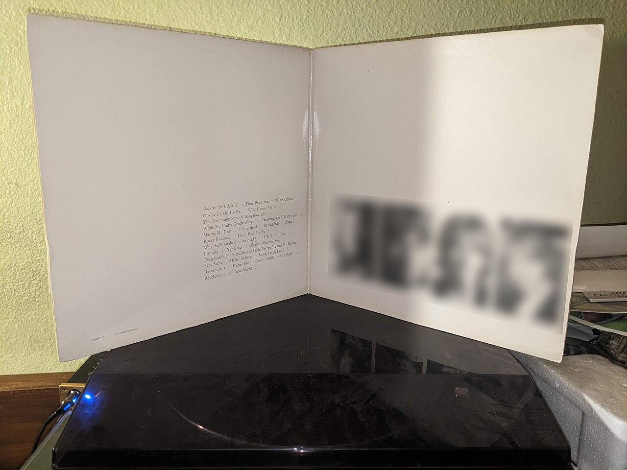 Björk’s Biophilia: The Sound of the Ocean Floor