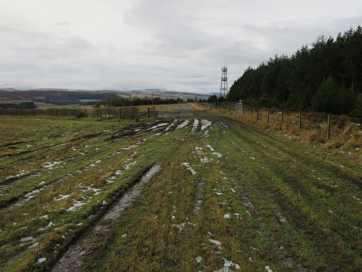 The Day the Stones Hired the Hells Angels