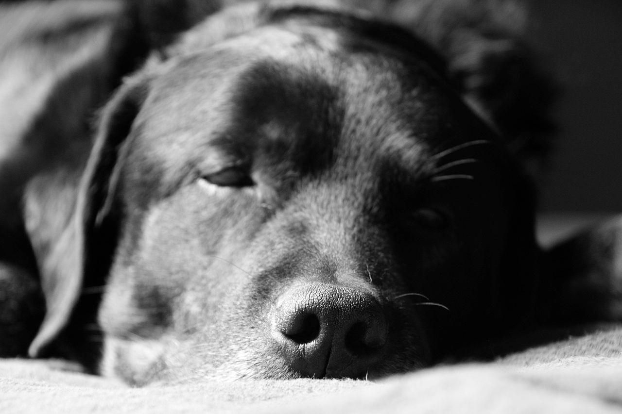 The Tempo That Makes You Spend More Money