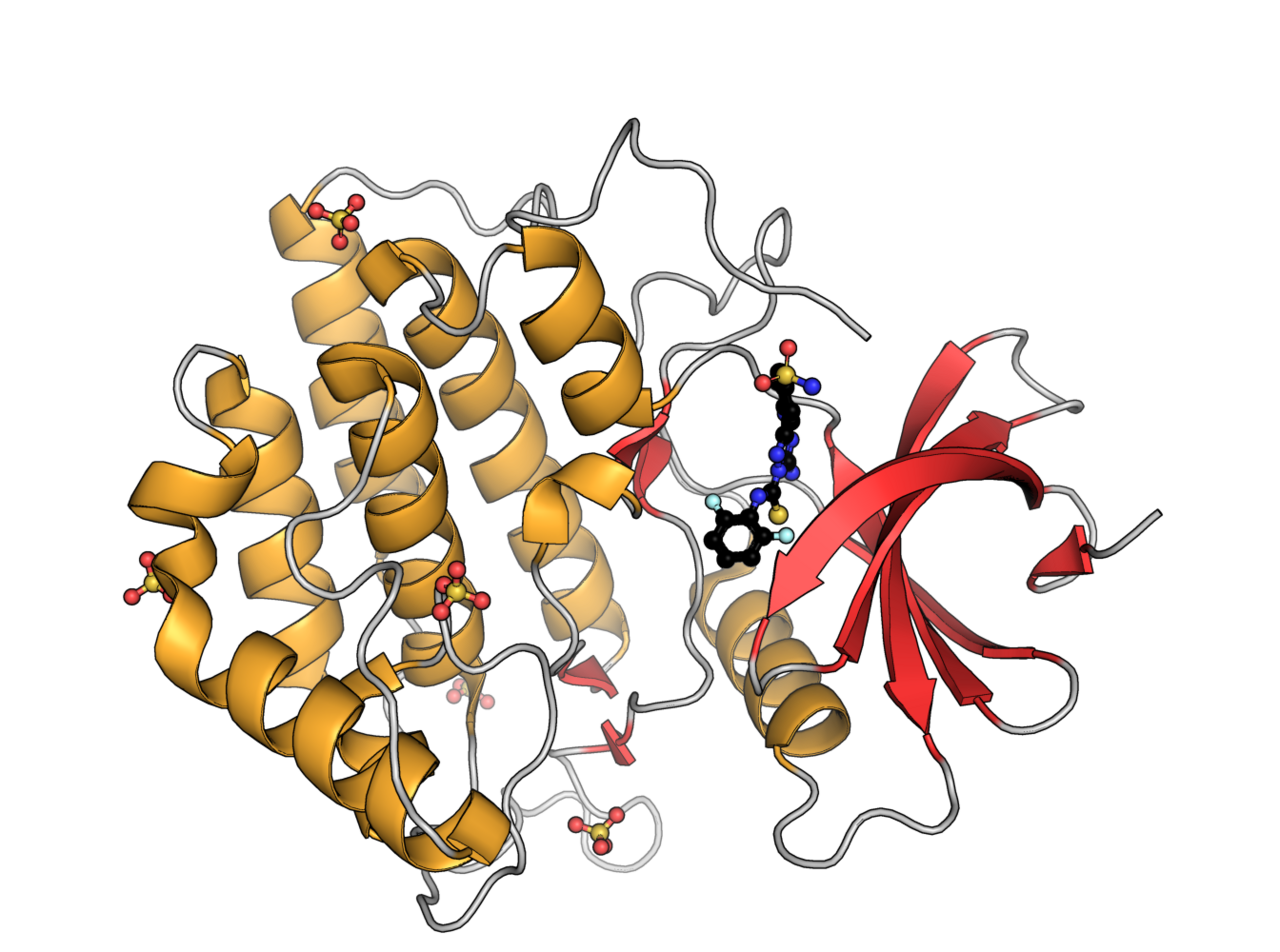 Human casein kinase 1 gamma 3 PDB 2CHL.png