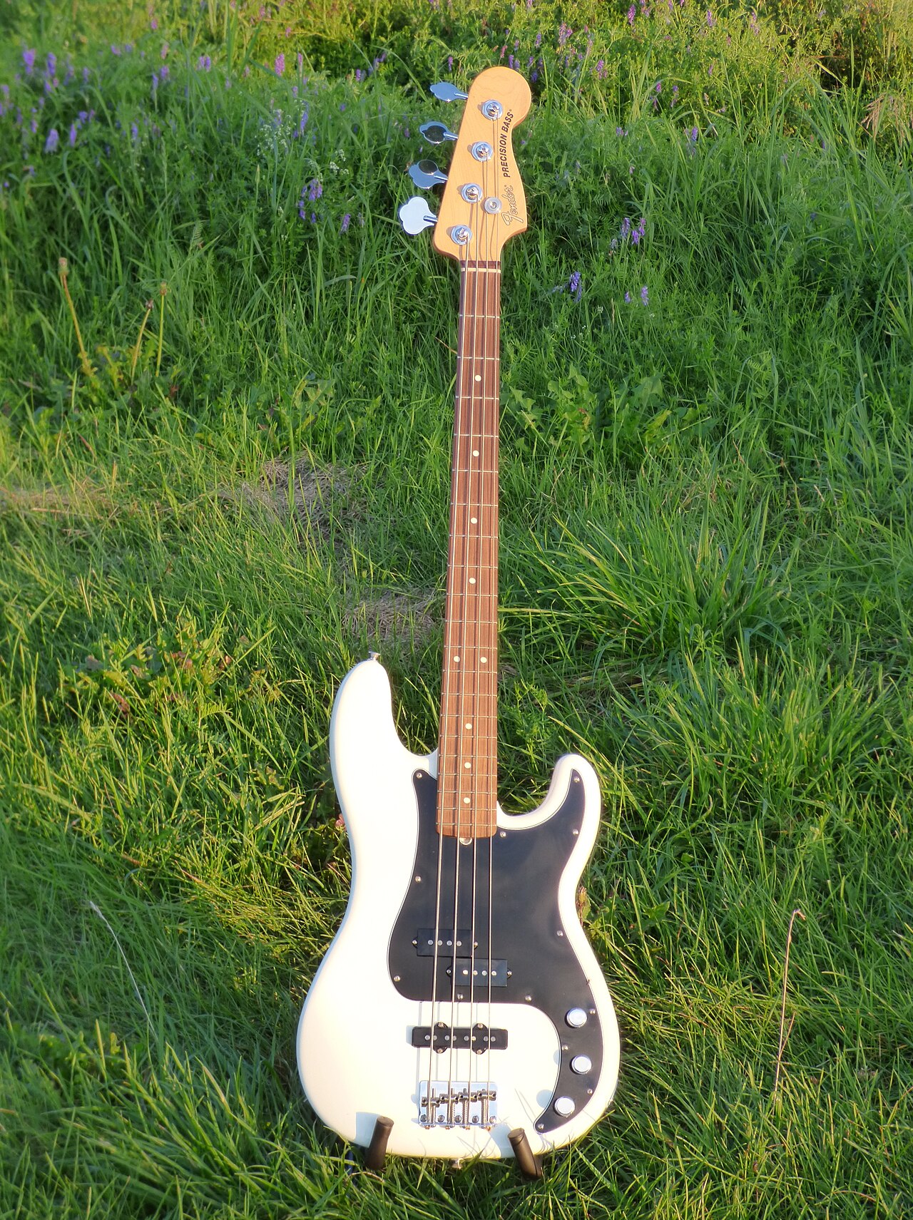Fender AP P-Bass 20230801