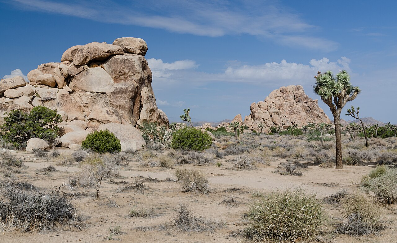 Joshua Tree National Park 2013.jpg