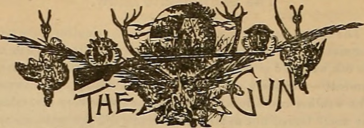 Breeder and sportsman (19787354624)