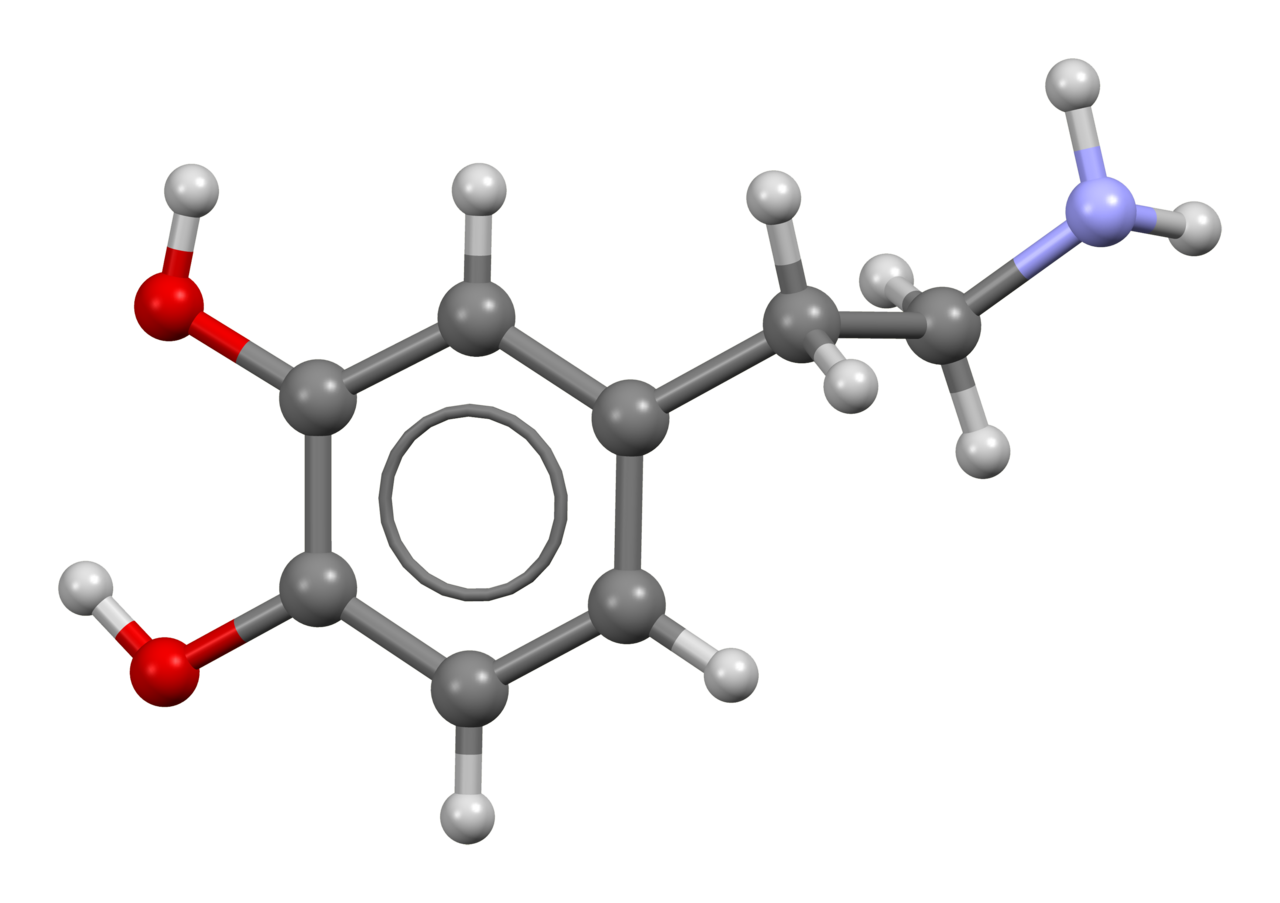 Dopamine-based-on-xtal-3D-bs-17