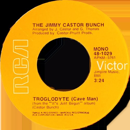JIMMY CASTOR BUNCH / 1972 cover image
