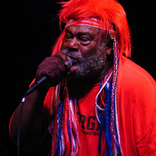 GEORGE CLINTON / 1982 cover image