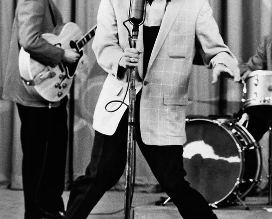 ELVIS PRESLEY / GRACELAND 1977 Elvis Is Alive - supporting image