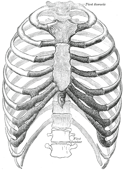 Gray112